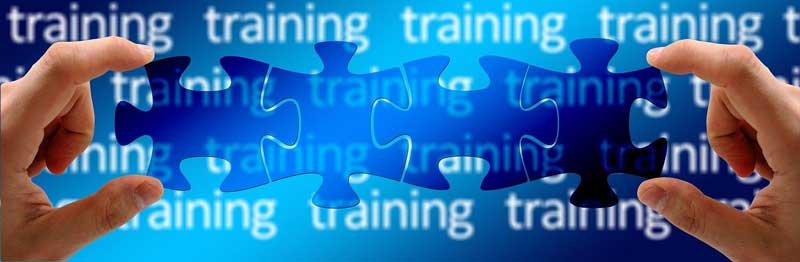 Non DOT general designated Employer training course - two hands holding a string of puzzle pieces in front of a blue wall with the word training repeated on it.